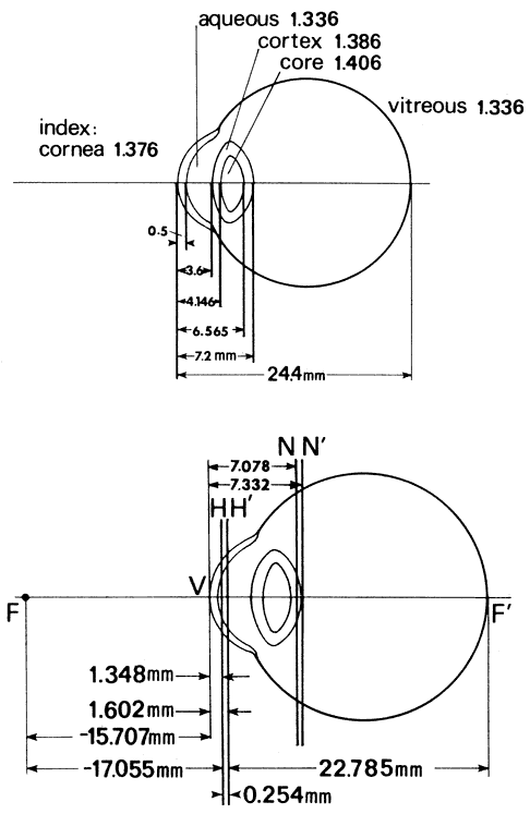 schematic eye pdf