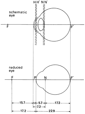 schematic eye pdf