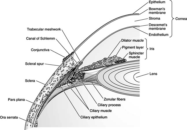 Figure 1-12