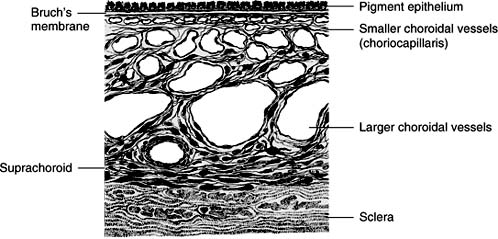 Figure 1-13