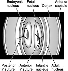 Figure 1-15