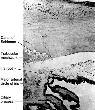 Figure 1-16