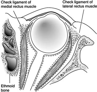 Figure 1-20