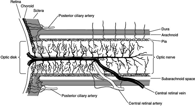 Figure 1-26