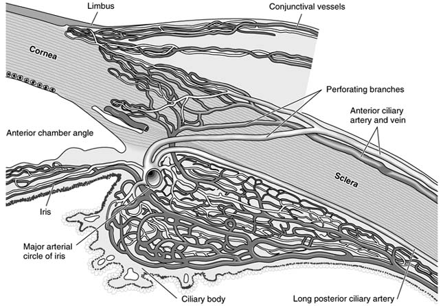 Figure 1-5