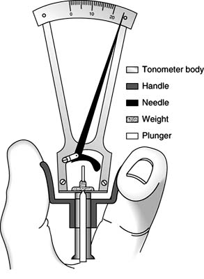 Figure 2-8