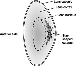 Figure 8-6