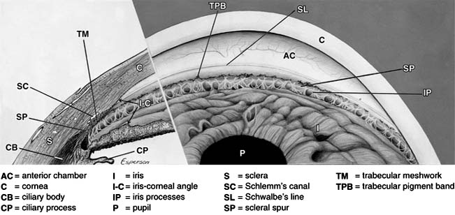 Figure 11-3