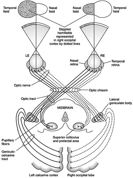 Figure 14-2