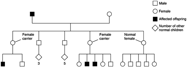 Figure 18-5