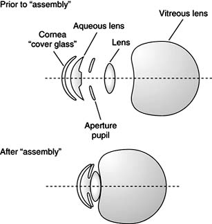 Figure 20-19